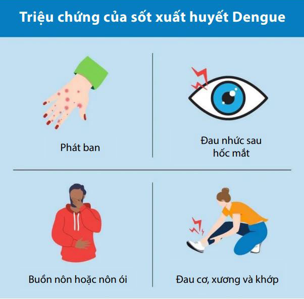 triệu chứng của sốt xuất huyết Dengue