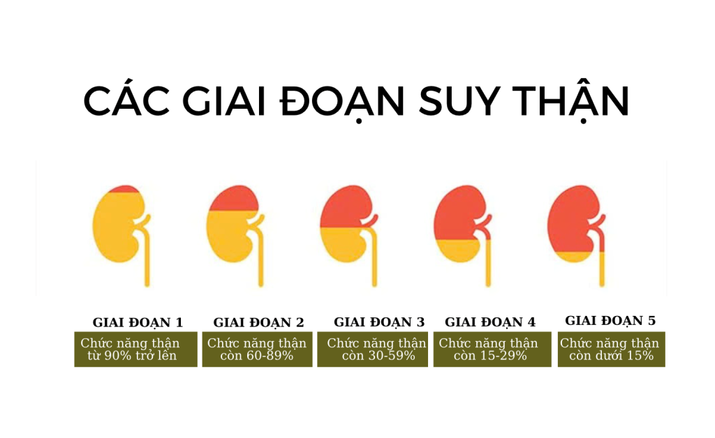 5 giai đoạn của bệnh suy thận