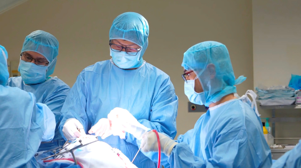 Minimal blood loss during surgery thanks to pre-operative embolisation