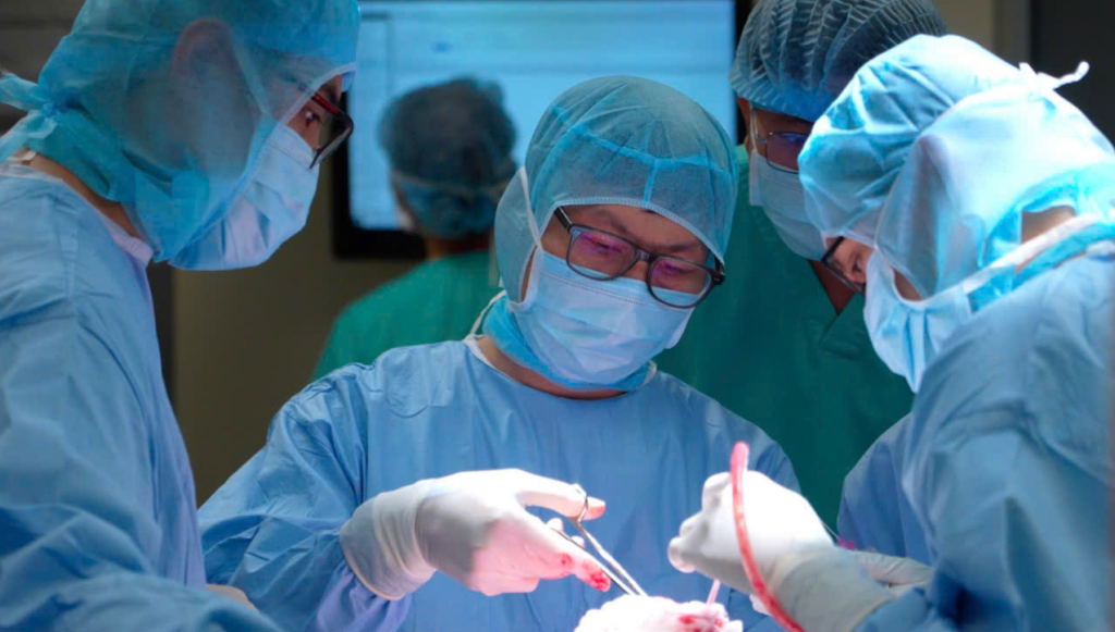 Dr Tran Luong Anh, Specialist Level II and Head of the Neurosurgery and Spine Surgery Department at FV Hospital (centre), is seen performing the surgery.
